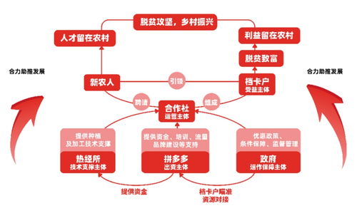 上半场万亿基建开路,下半场科技电商破圈,结果 中国脱贫完胜